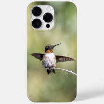Ruby-Throated Hummingbird