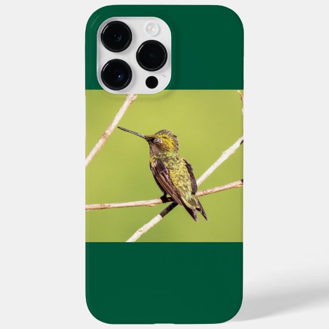 Ruby-Throated Hummingbird Case-Mate iPhone Hülle (Rückseite)