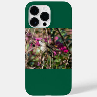 Ruby-Throated Hummingbird Case-Mate iPhone 14 Pro Max Hülle