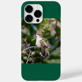 Ruby-Throated Hummingbird Case-Mate iPhone 14 Pro Max Hülle