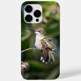 Ruby-Throated Hummingbird Case-Mate iPhone 14 Pro Max Hülle