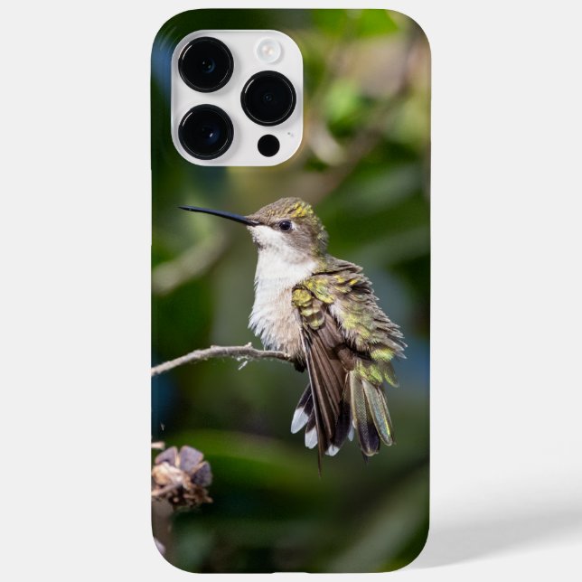 Ruby-Throated Hummingbird Case-Mate iPhone Hülle (Rückseite)