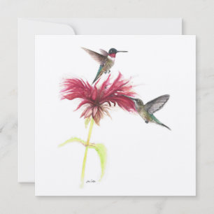 Ruby Throated Hummingbird Couple