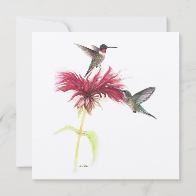 Ruby Throated Hummingbird Couple (Vorderseite)