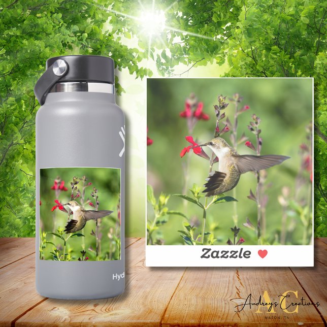 Ruby-Throated Hummingbird Cut Vinyl Aufkleber (Von Creator hochgeladen)