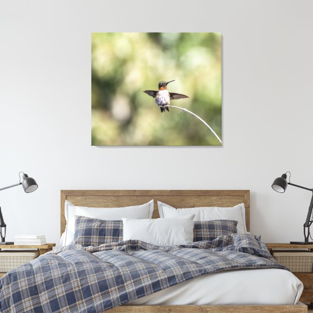Ruby-Throated Hummingbird Design #4Q7A0015 Leinwanddruck (Insitu (Schlafzimmer))
