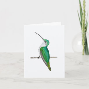 Ruby-throated Hummingbird Female Greeting Card Karte