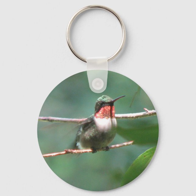 Ruby-throated Hummingbird Flutters Schlüsselanhäng Schlüsselanhänger (Vorderseite)