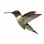 Ruby Throated Hummingbird Fotoskulptur Schlüsselanhänger<br><div class="desc">Dieser schöne 3D-Schlüsselanhänger ist ein Kolibri mit Ruby-Halswirbel</div>