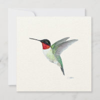 Ruby-throated Hummingbird in Flight