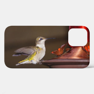 Ruby-throated Hummingbird iPhone Case für Frauen