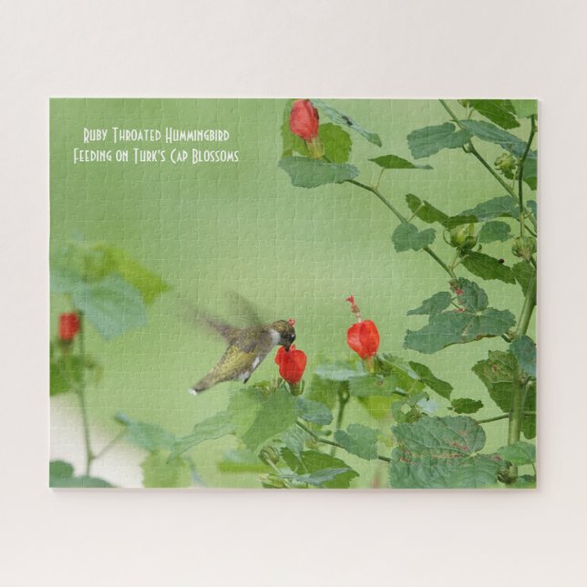Ruby Throated Hummingbird, Jigsaw Pu, Vogelliebhab Puzzle (Horizontal)