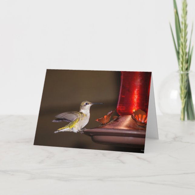 Ruby-throated Hummingbird Karte (Vorderseite)