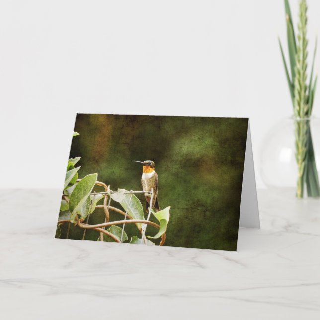 Ruby Throated Hummingbird Karte (Vorderseite)