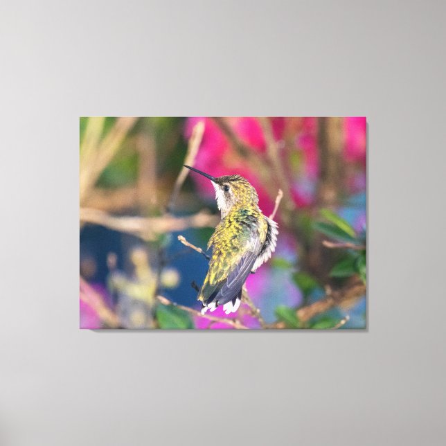 Ruby-Throated Hummingbird Leinwanddruck (Vorderseite)