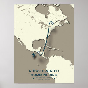 Ruby-throated Hummingbird Migration Map Poster