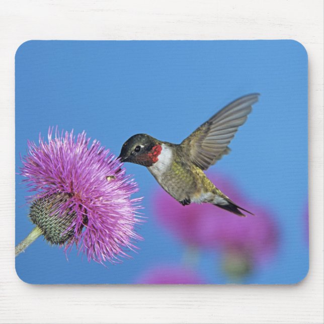 Ruby-throated Hummingbird Mousepad (Vorne)