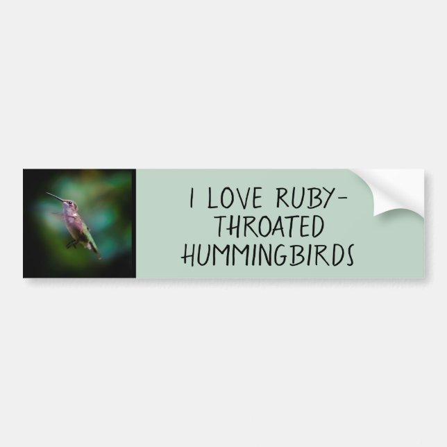 Ruby-throated Hummingbird - Original Foto Autoaufkleber (Vorne)