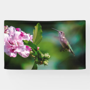 Ruby-throated Hummingbird - Original Foto Banner