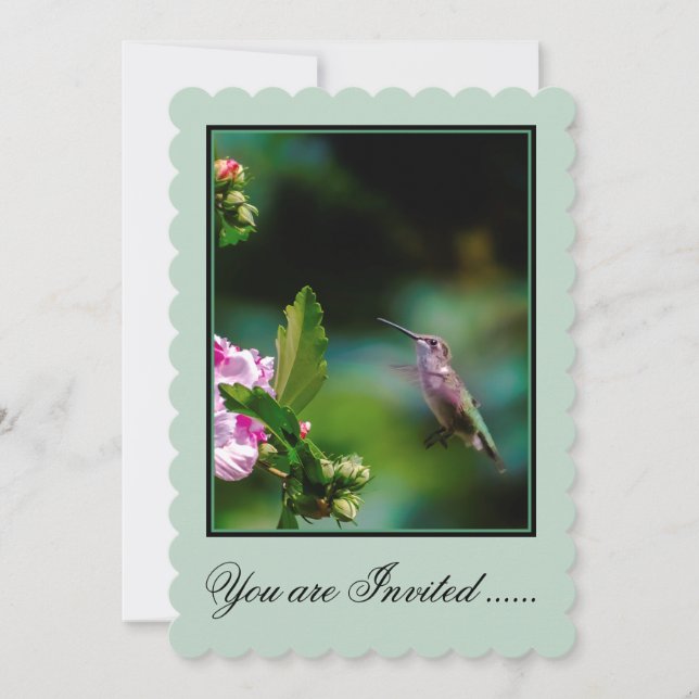 Ruby-throated Hummingbird - Original Foto Einladung (Vorderseite)