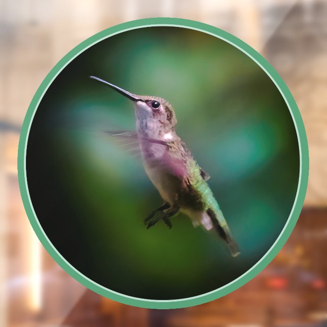 Ruby-throated Hummingbird - Original Foto Fensteraufkleber (Blatt 2)