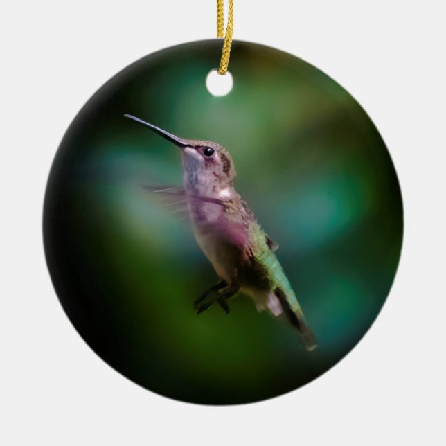 Ruby-throated Hummingbird - Original Foto Keramik Ornament (Vorne)