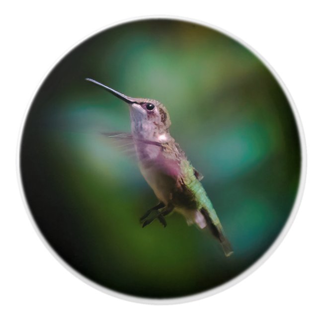 Ruby-throated Hummingbird - Original Foto Keramikknauf (Vorderseite)