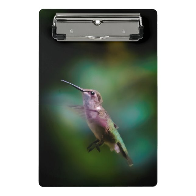 Ruby-throated Hummingbird - Original Foto Mini Klemmbrett (Vorderseite)