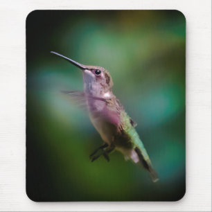 Ruby-throated Hummingbird - Original Foto Mousepad