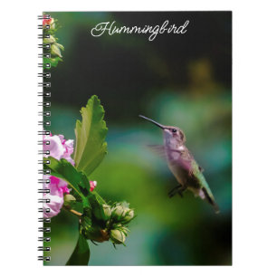 Ruby-throated Hummingbird - Original Foto Notizblock