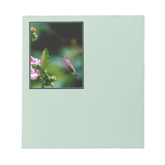 Ruby-throated Hummingbird - Original Foto Notizblock (Vorderseite)