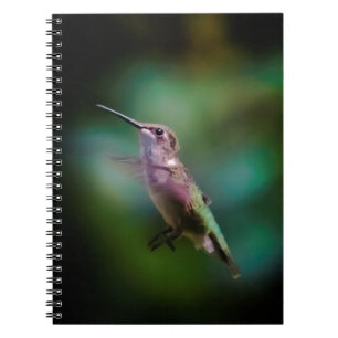 Ruby-throated Hummingbird - Original Foto Notizblock