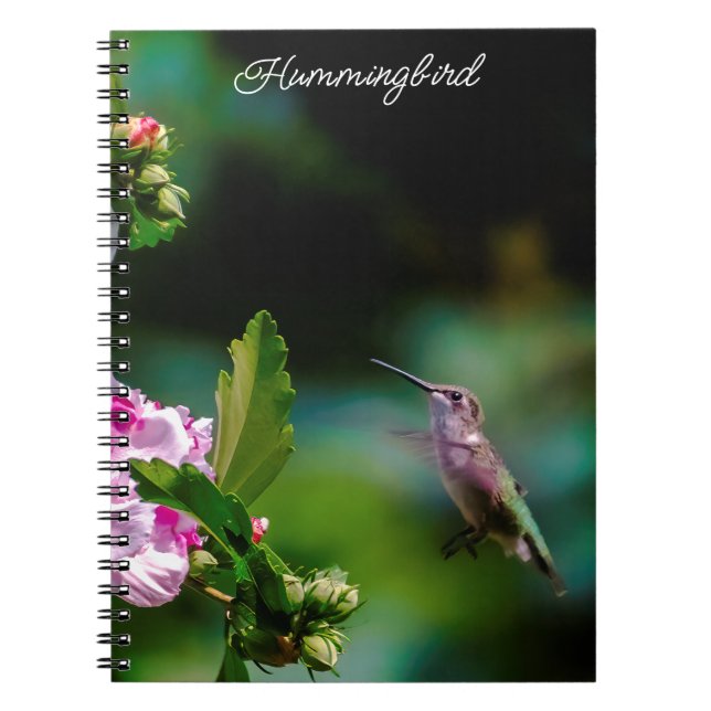 Ruby-throated Hummingbird - Original Foto Notizblock (Vorderseite)