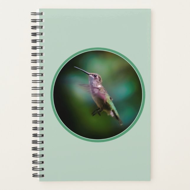 Ruby-throated Hummingbird - Original Foto Planer (Vorderseite)