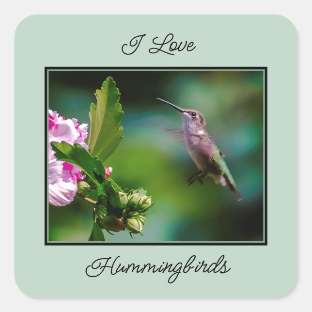 Ruby-throated Hummingbird - Original Foto Quadratischer Aufkleber (Vorderseite)