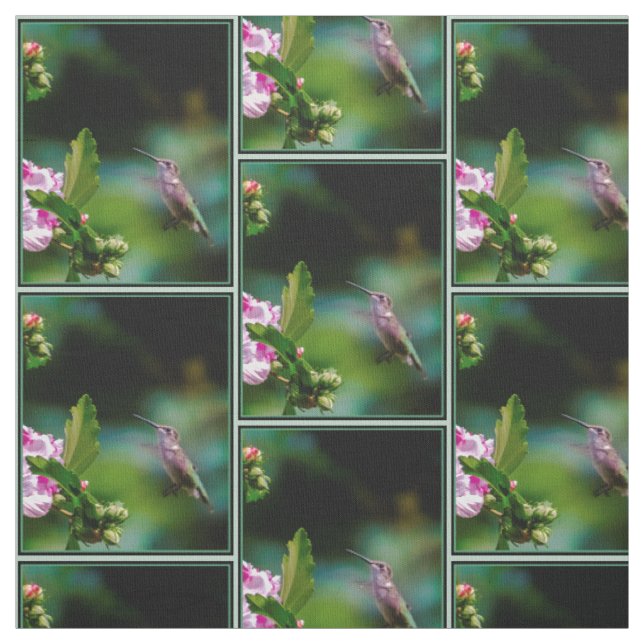Ruby-throated Hummingbird - Original Foto Stoff (Muster)