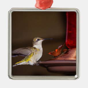 Ruby-throated Hummingbird Ornament Aus Metall