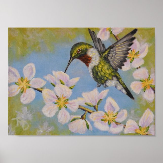 Ruby-Throated Hummingbird - Poster (Vorne)