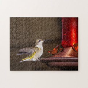Ruby-throated Hummingbird Puzzle