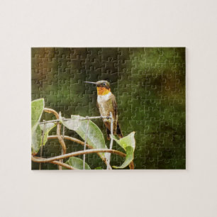 Ruby Throated Hummingbird Puzzle