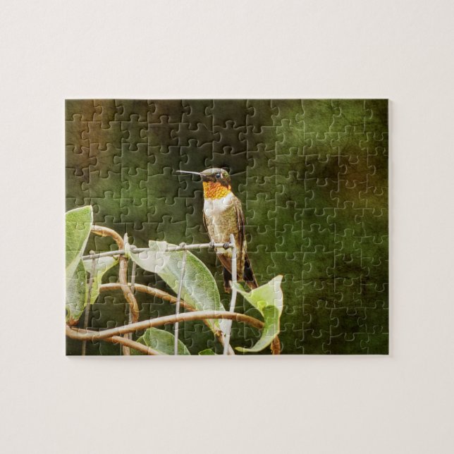 Ruby Throated Hummingbird Puzzle (Horizontal)