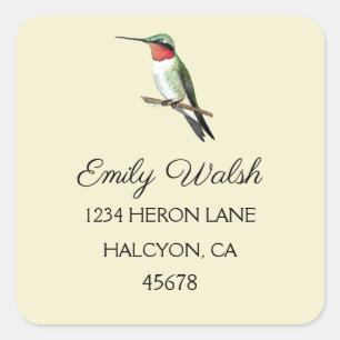 Ruby-throated Hummingbird Quadratischer Aufkleber