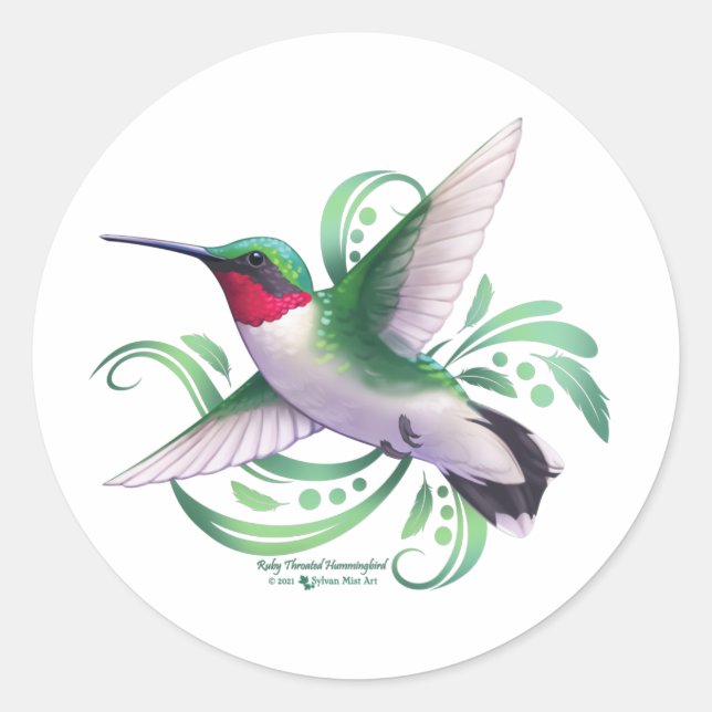 Ruby Throated Hummingbird Runder Aufkleber (Vorderseite)