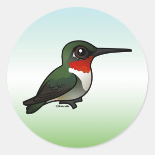 Ruby-throated Hummingbird Runder Aufkleber