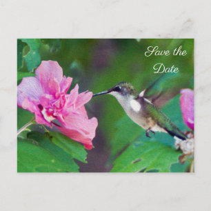 Ruby Throated Hummingbird Save the Date Postcard Ankündigungspostkarte