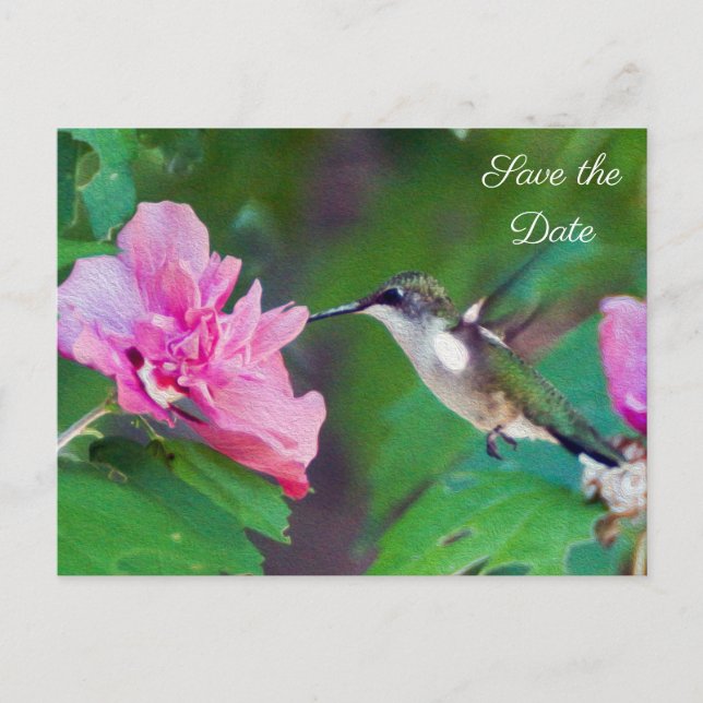 Ruby Throated Hummingbird Save the Date Postcard Ankündigungspostkarte (Vorderseite)