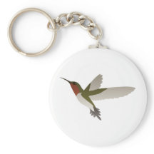 Ruby Throated Hummingbird