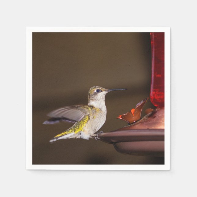 Ruby-throated Hummingbird Serviette (Vorderseite)
