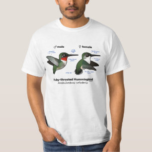 Ruby-throated Hummingbird Statistics T-Shirt