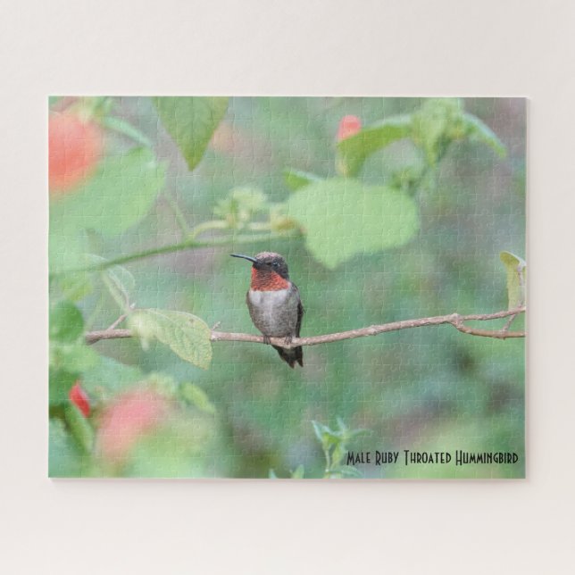 Ruby Throated Hummingbird, Vogelliebhaber Puzzle (Horizontal)